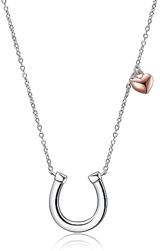 YFN Cavallo Collana Argento Sterling Ciondolo Ferri di Cavallo Gioielli Regali per Donne Ragazze