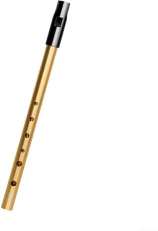 Irische Flöte in C D Bb Schlüssel mit Fingerführung und Tragetasche (Gold C Key)