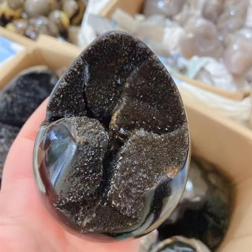 QMKADFQXF 900-1.1kg Curvature of The Furnishing Articles Turtle Grain Stone Egg Ball Septarian Nodule Crystal Quartz Home Decor Cristallo Naturale Grezzo