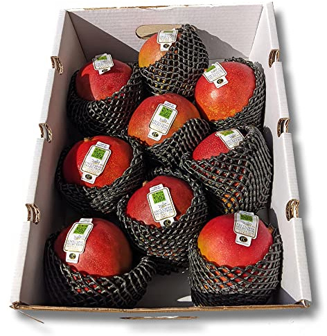Mango fruta Pack 4 kg - Mangos de avión. Importación. Variedad KENT - Compra mangos. Come fruta, come sano.