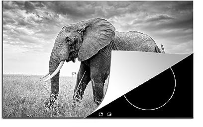 Protège-plaque à induction - Plaque Protection Vitrocéramique Induction - Vinyl - Éléphant - Herbe - Animaux - Noir et blanc - 81.2x52 cm - Couvre Plaque de Cuisson - Accessoires de Cuisine