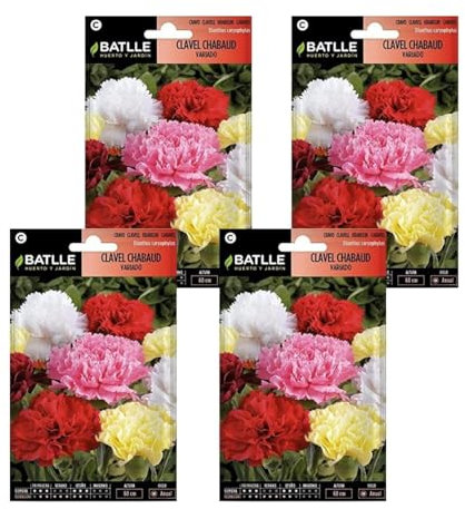 Semillas de clavel chabaud colores variados de Semillas Batlle PACK (4)
