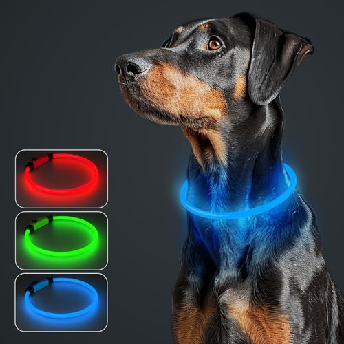 MASBRILL Leuchthalsband Hund Aufladbar, Hundehalsband Leuchtend Wasserdicht mit 3 Beleuchtungsmodi, Einstellbare Länge LED Halsband für Kleine, Mittlere und Große Hunde(Blau)