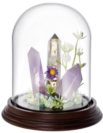PH PandaHall 5.1x5.5 inch Glass Display Dome Cloche Glass Bell Jar with Wooden Base, Decorative Clear Glass Dome for Flower Storage Home Christmas Party Favor Decoration