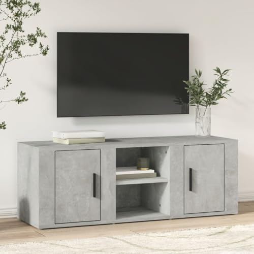 Qnhdfrt TV Lowboard Betongrau 100x31,5x35 cm aus robustem Holzwerkstoff, Modernes Sideboard mit 4 Fächern und praktischer Tür, Fernsehtisch mit Stauraum für Wohnzimmer & Schlafzimmer