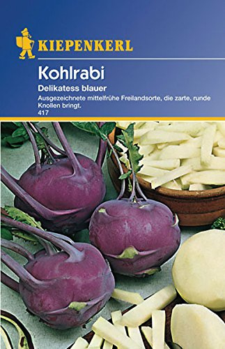 Sperli 417 Gemüsesamen Kohlrabi Delikateß, blau/grün