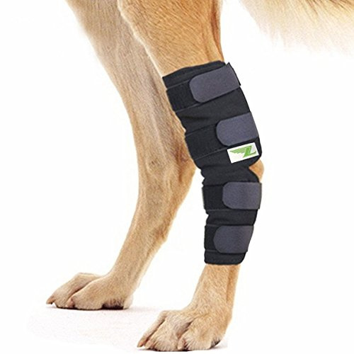 RockPet Gelenkbandage für das Hinterbein ihres Hundes (XL)