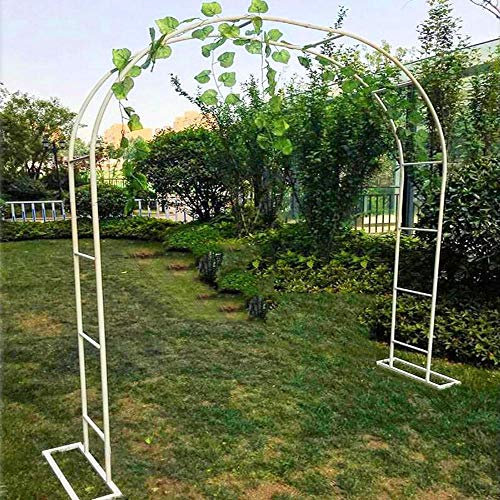 ZH-1 Kletterpflanzen Bogen Metall Pergola Rankhilfe Rankgitter Torbogen Eisen Rosenbogen Rosengitter, Indoor Outdoor, freistehend, Multi-Size