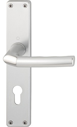 HOPPE 2640124 Drückergarnitur Birmingham-auf Langschild Profilzylinder Entfernung 88mm, für Türstärke 30-49mm, Silber eloxiert
