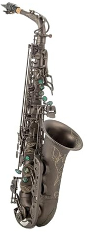 saxophon Altsaxophon E Flat Mattschwarz Musikinstrumente Sax Professionelles Holzblasinstrument mit Koffer (Color : Leather bag)