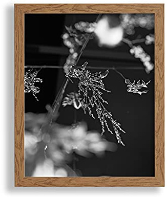 VO design Premium Bilderrahmen Finn 40 x 120 cm Eiche Rustikal Optik mit klarem Kunstglas - Farbe und Größe frei wählbar