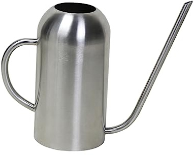 Toddmomy Grand Arrosoir 1 5 L en Acier Inoxydable pour Usage Domestique Et Jardin