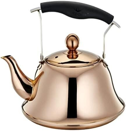 Bollitore da tè fischiettante in acciaio inox, bollitore arcobaleno con infusori per tè sfuso, teiera per stufa a induzione, bollitore ad acqua veloce con infusore