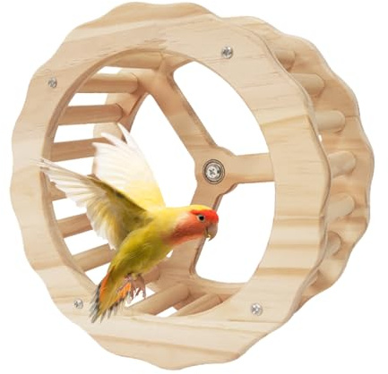 Laufrad für Papageien, Laufrad für Vögel, interaktives Drehrad, Zubehör für Vogelspielzeug aus für Sittiche, Papageien, Nymphensittiche, Wellensittiche, 24 x 24 x 11 cm