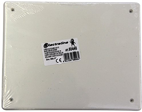 Electraline 60446 Coperchio di Ricambio con Viti, Misura 198x153 mm, Bianco