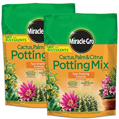 Miracle-Gro Cactus, Palm and Citrus Potting Mix, for Indoor or Outdoor Potted Plants, Great for Succulents, 8 qt., 2-Pack