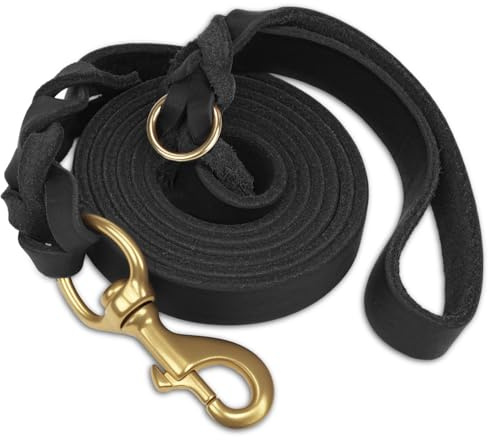 Joytale Hundeleine Leder, Strapazierfähige Lederleine aus Echtem Rindsleder mit Messinghaken, Weich & Langlebig, Führleine für Mittelgroße und Große Hunde – auch zum Training（Schwarz, 150cm×2cm）