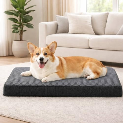 JOEJOY Orthopedic Dog Beds Medium Washable, Dog Crate Bed Memory Foam Dog Bed with Removable Cover, 74x46x7.5CM