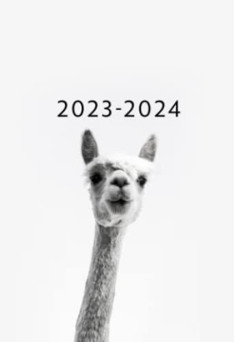 2023 – 2024: Juni 2023 bis Mai 2024 | A6 Kalender Mini Planer | 1 Woche auf 2 Seiten Wochenplaner | Soft-Cover Alpaka | Kalenderbuch Terminkalender ... Terminplaner Buchkalender Jahresplaner