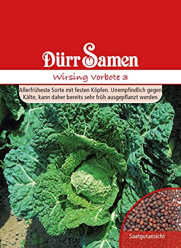 Dürr-Samen - Wirsing Vorbote Saatgut