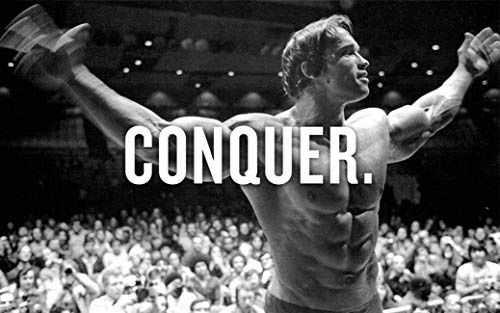Tainsi Arnold Schwarzenegger Poster, 28 x 43 cm