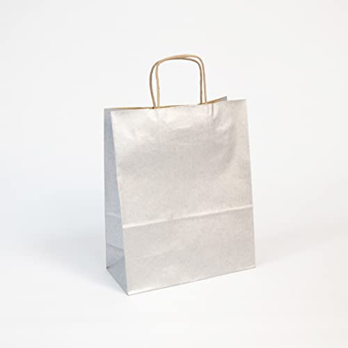 Clairefontaine 395711C - Un Paquet De 25 Sacs Cadeaux Kraft - 22x10x27cm - 100g - Couleur : Argent - Poignées Torsadées - Idéal Pour : Emballage Cadeaux, Secteur Alimentaire, Sac Kraft Basique