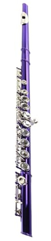 Adult Flute Instrument Wind Instruments Colored Flute 16 Closed Hole C Key Purple Lacquer Nickel