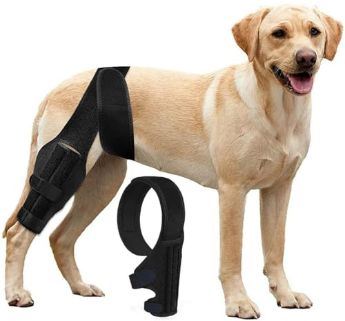 RUYICZB Hunde-Kniebandage Zur Unterstützung Bei Kreuzbandverletzungen, Gelenkschmerzen Und Muskelkater, Bessere Erholung Mit Hunde-ACL-Kniebandage, Verstellbare Hinterbeinbandagen Für Hunde,L