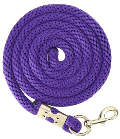 Linea di affondo per cavalli, corda PP rinforzata non slittata da 2 m con gancio di bloccaggio manico ad ammortizzatore, piombo di addestramento pesante per il controllo (Viola)