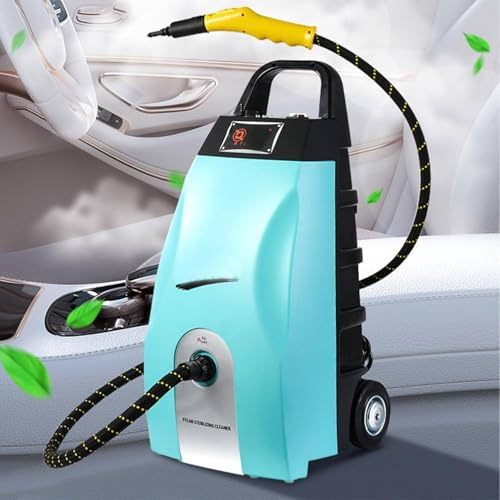 Pulitore a vapore portatile, 2500 W, vaporizzatore ad alta pressione per casa, cucina, auto, dettagli per piastrelle e bagno