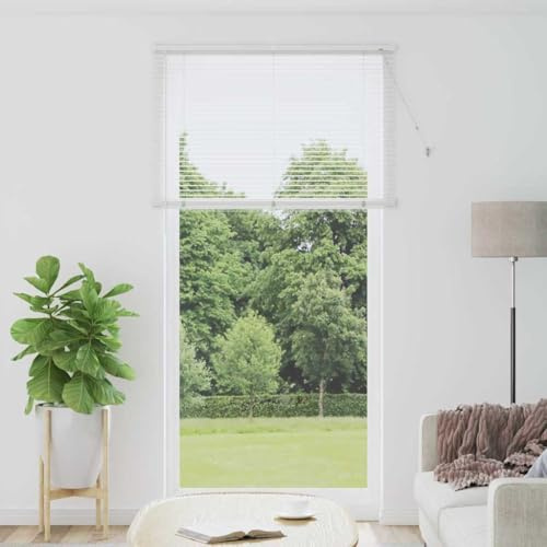 Ordellia Persiana avvolgibile in alluminio, 220 x 115 cm, protezione da sguardi indiscreti e controllo della luce per finestre, montaggio interno, con cordino e clip di sicurezza, ideale per soggiorno