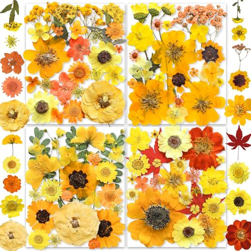 150 Stück gelbe getrocknete gepresste Blumen für Kunstharz – YouthBro echte Naturblumen-Kräuter-Set für selbstgemachten Schmuck, Kerzen, Seife