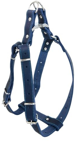 JACK AND VANILLA, Robustes Ledergeschirr für Hunde, individuelle Passform 40–60 cm, Blaue Farbe, optimaler Komfort und ergonomisches Design für angenehme Spaziergänge, Ledermodell