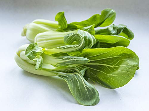 300 Chinese Cabbage Pak Choi Seeds - Old Vegetable Vegetable - Reproducible Peasant Seeds - SemiSauvage