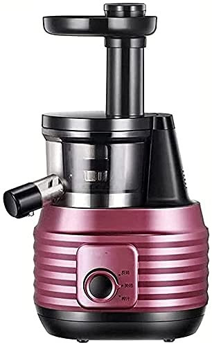 QUSYZD Extracteur de jus à Mastication Lente avec Fonction Inverse, Presse-Agrumes à Froid avec Moteur Silencieux, Presse-Agrumes Domestique à Haut rendement