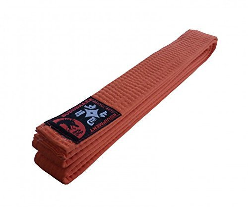 Budodrake Karategürtel Judogürtel Taekwondogürtel orange (240)