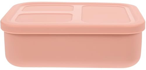 PRETYZOOM Contenitori Per Alimenti Caldi Cestini Del Pranzo Vassoio Da Portata Diviso Con Coperchio Organizzatori Cibo Ermetico Frigo Termico Contenitori Per Bento Gel Di Silice