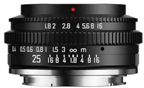 Camera Lens, 25-mm-Festbrennweitenobjektiv (F1.8) for Porträts, kompatibel mit Sony E, Fuji X, Canon RF/EF-M, M4/3, Nikon Z und L-Mount.,in Parts(E-Mount(APS-C))