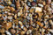 RockinNature Pierre décorative de jardin Doré 14-15 kg