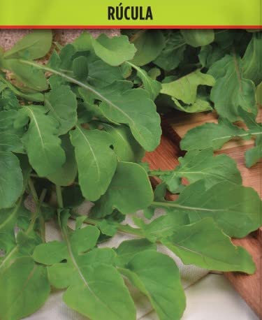 Semillas de Rúcula | DECOALIVE | Semillas para Huerto Urbano | Semillas Plantas Aromáticas y Culinarias