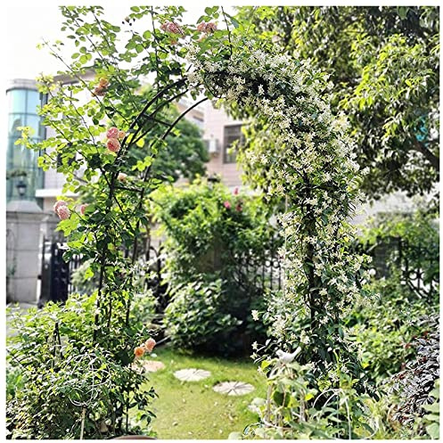 Arche de jardin en fer forgé noir pour plantes grimpantes et roses, 350 cm x 220 cm, élégante décoration de jardin, support pour plantes grimpantes et fleurs