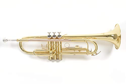 Roy Benson Bb-Trompete TR-101 (Professionell gestaltet mit ML Bohrung, mit Goldmessing Mundrohr, inklusive leichtem Rechtecketui, mit Rucksackgarnitur)
