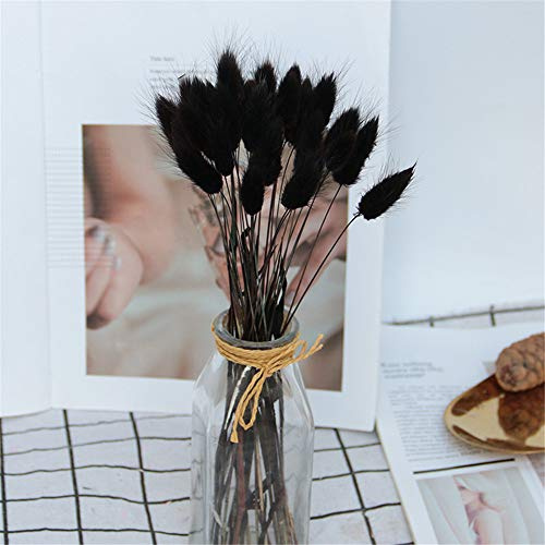 Martin Kench 20pcs Pampasgras Deko Natürliche Pampasgras Getrocknet Blumen Kunstblumen Schilfgras Klein Trockenblumen für Hochzeit Hause Party Fotografie Hotel Vase Deko (Schwarz)