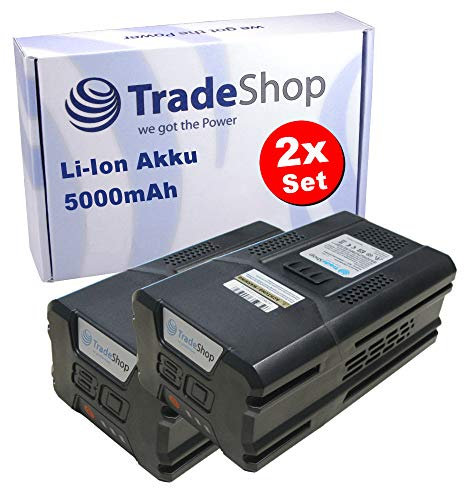 2X Li-Ion Akku 80V 5000mAh für Greenworks Rasentrimmer GD80BCB, Rückengebläse GD80BPB, Schneefräse GD80ST - ersetzt G80B4 2901307 / Ersatz Akku
