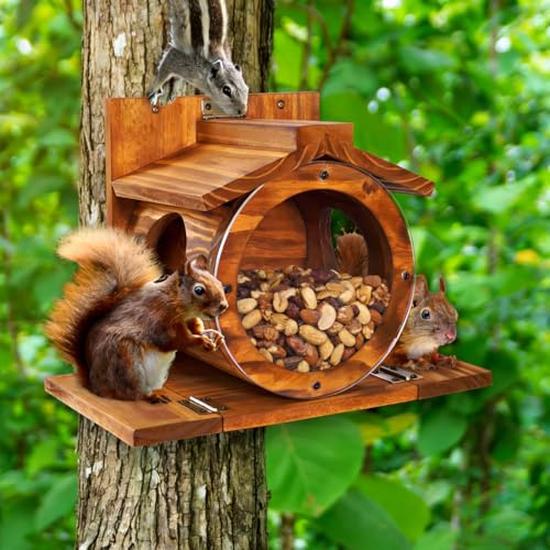 WRQIOO Eichhörnchen Futterhaus Wetterfes mit Runden Transparentes, Futterstationen für Eichhörnchen, 2 Eingänge & Sitzplattformen, Eichhörnchen Futterstation zum Aufhängen mit Belüftungslöchern