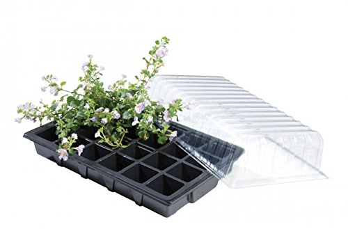 Garland Standardgewächshaus