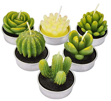 Cactus Tealight Candle, Succulent Cactus Candle Gift Set Handmade Delicate Cute Green Plant for Party Wedding Spa Home Decoration, 6 Packs