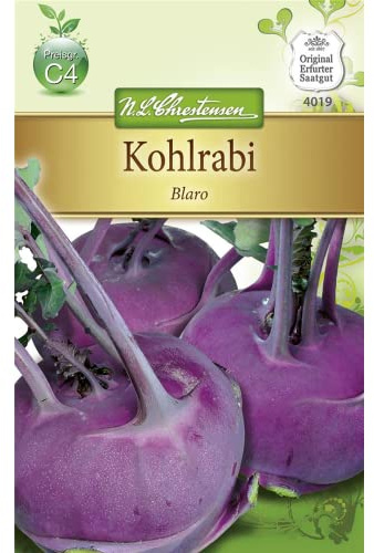Chrestensen Kohlrabi 'Blaro'