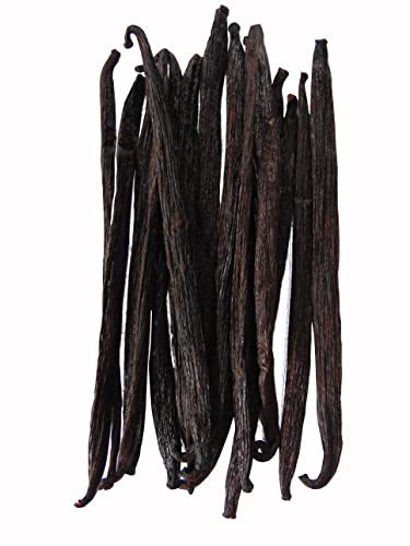 15 Vainas frescas de vainilla de Madagascar / 13-14