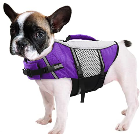 Queenmore Dog Life Jacket Swimming Vest Lightweight High Reflective Pet Lifesaver with Lift Handle, Leash Ring Purple,S